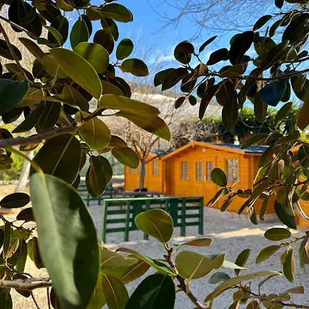 Camping Fonts Del Algar Callosa de Ensarriá